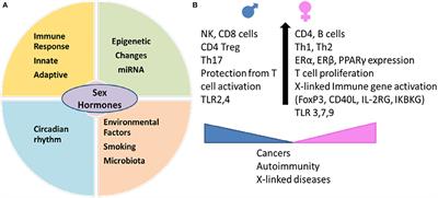 Sex Hormones Determine Immune Response